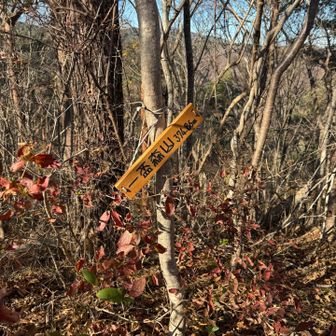 YAMAPでは『三角点』となってる一盃森山山頂⛰️