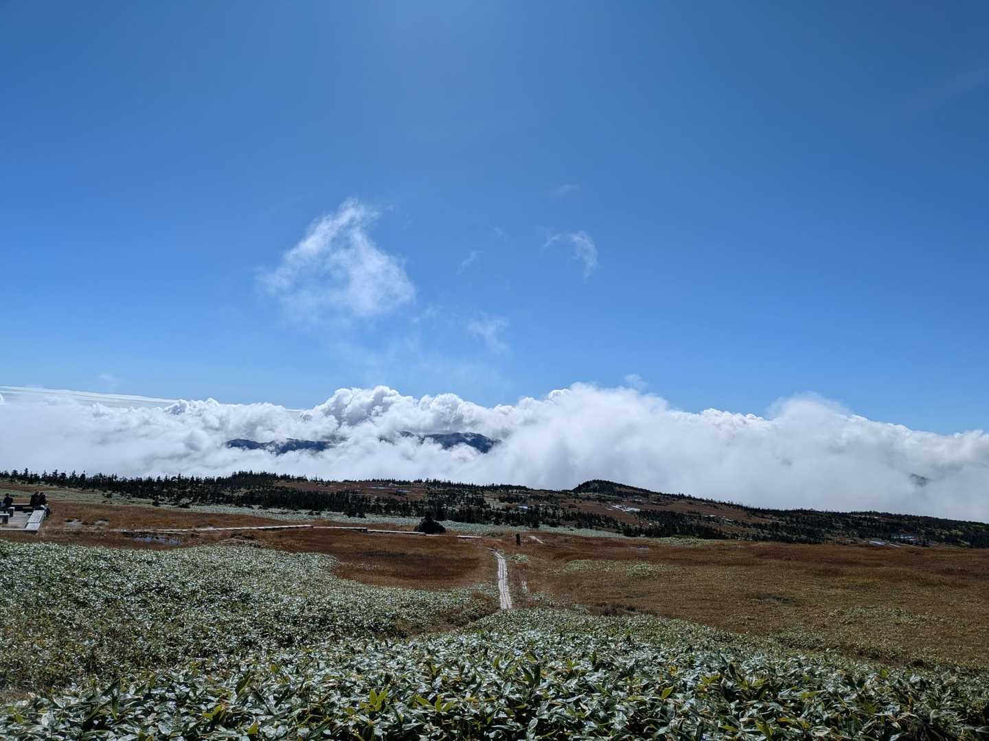 素晴らしい✨