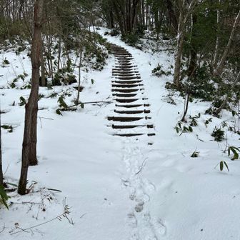 行ってきます💪
