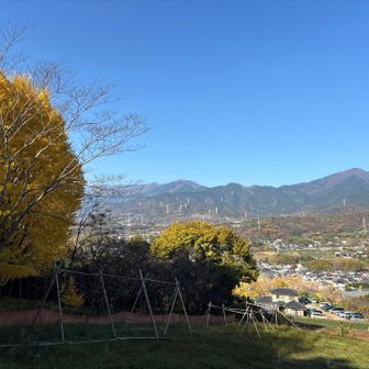 お次はジンギスカンのお店、見に行ってみよう。