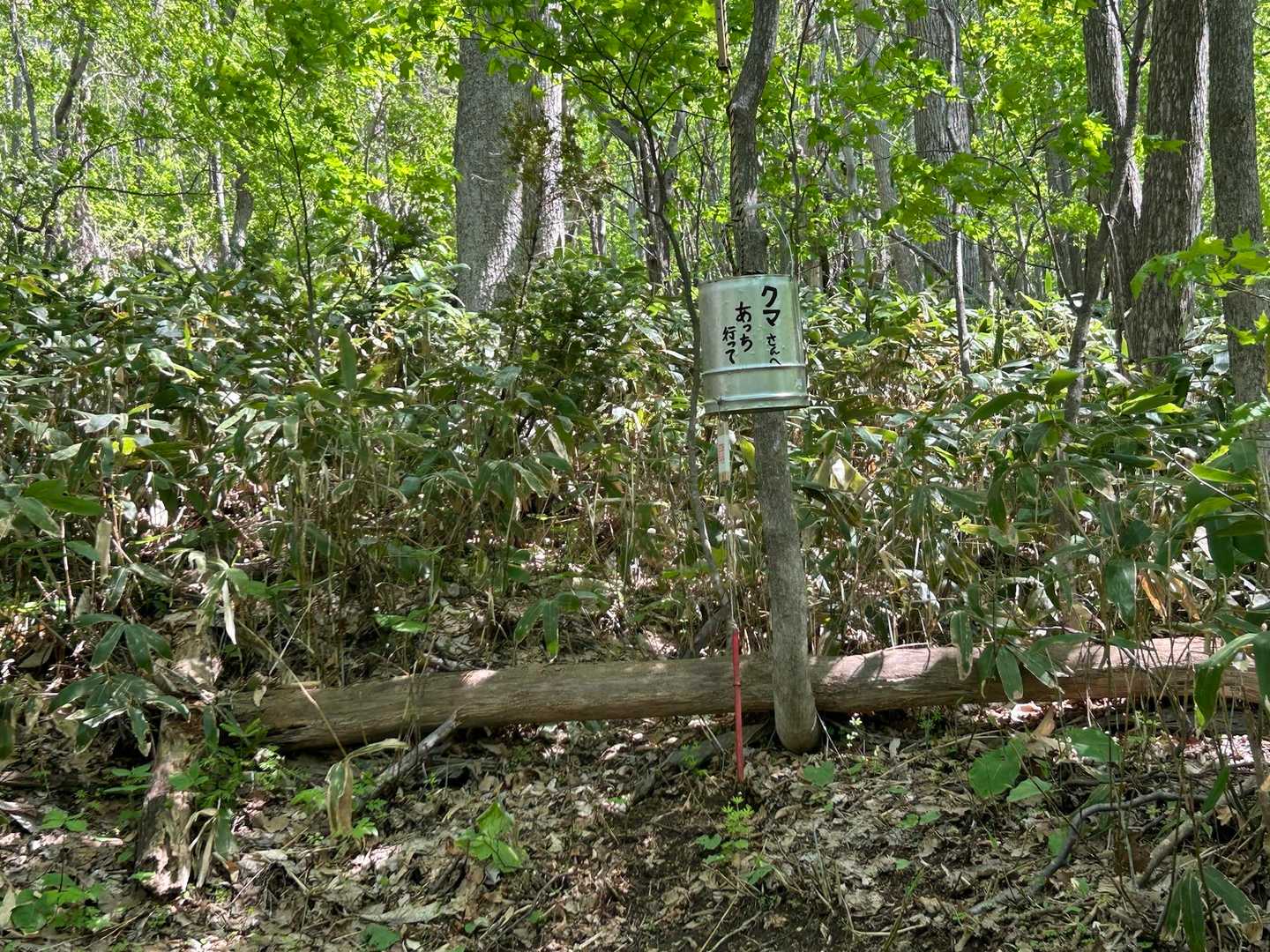 南口登山口-観音岩山-西口登山口-中央口登山口 周回コースの写真