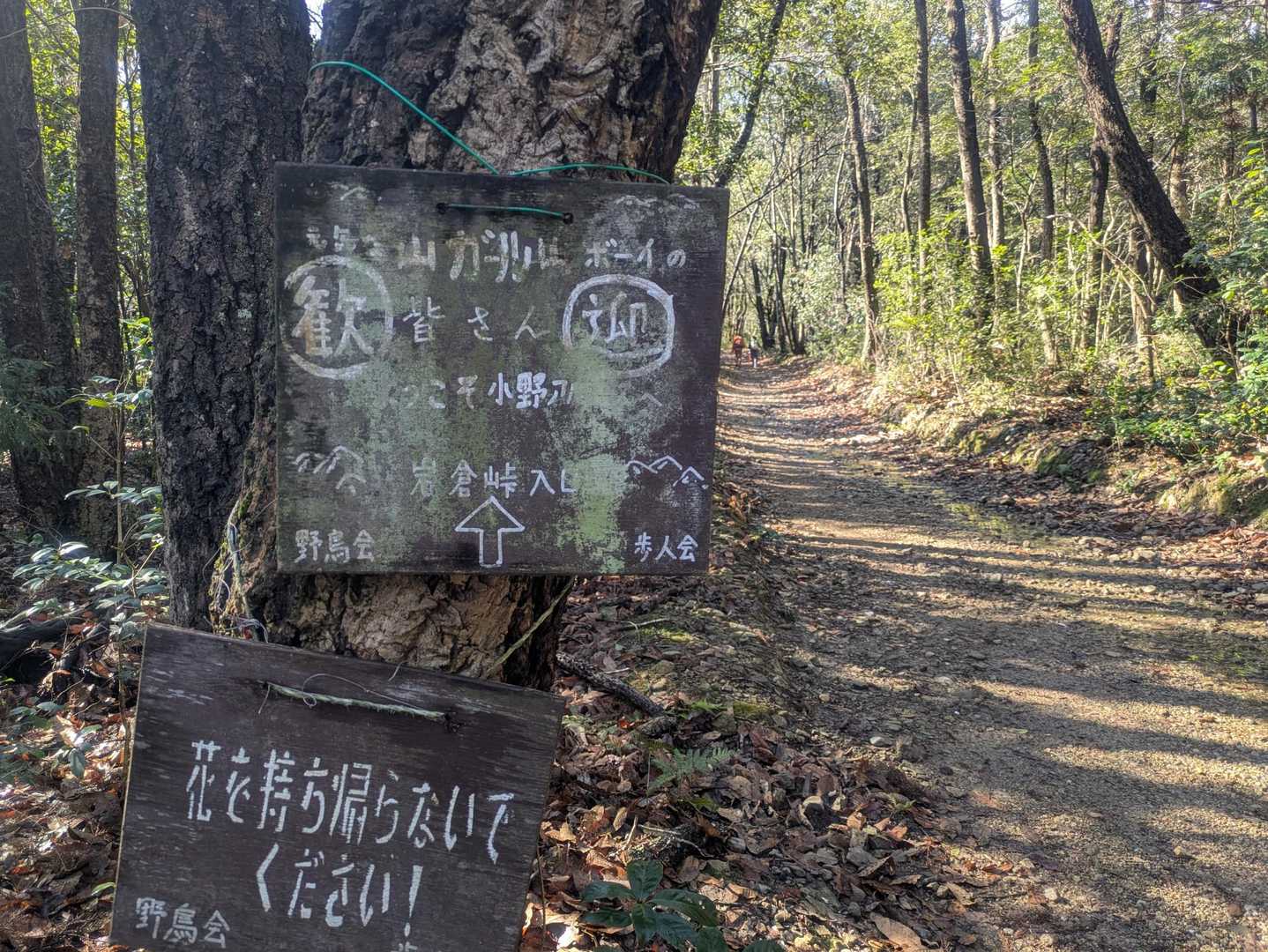 この時はまだ、お天気☀️