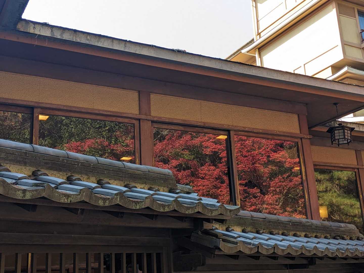 リフレクション