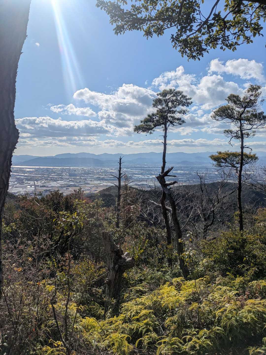 こちらからの景色もなかなか👍
