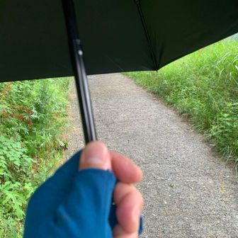 最近手に入れた兼用傘をさす。