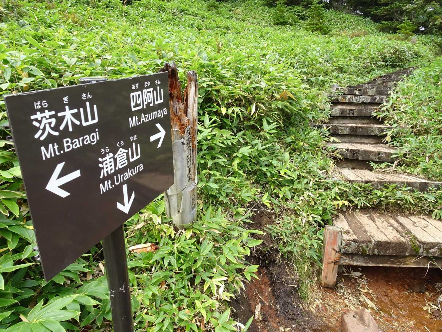 階段がある所は泥濘みから開放されます😅