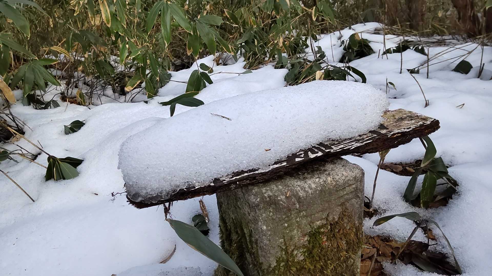 看板💡かまぼこ☃️