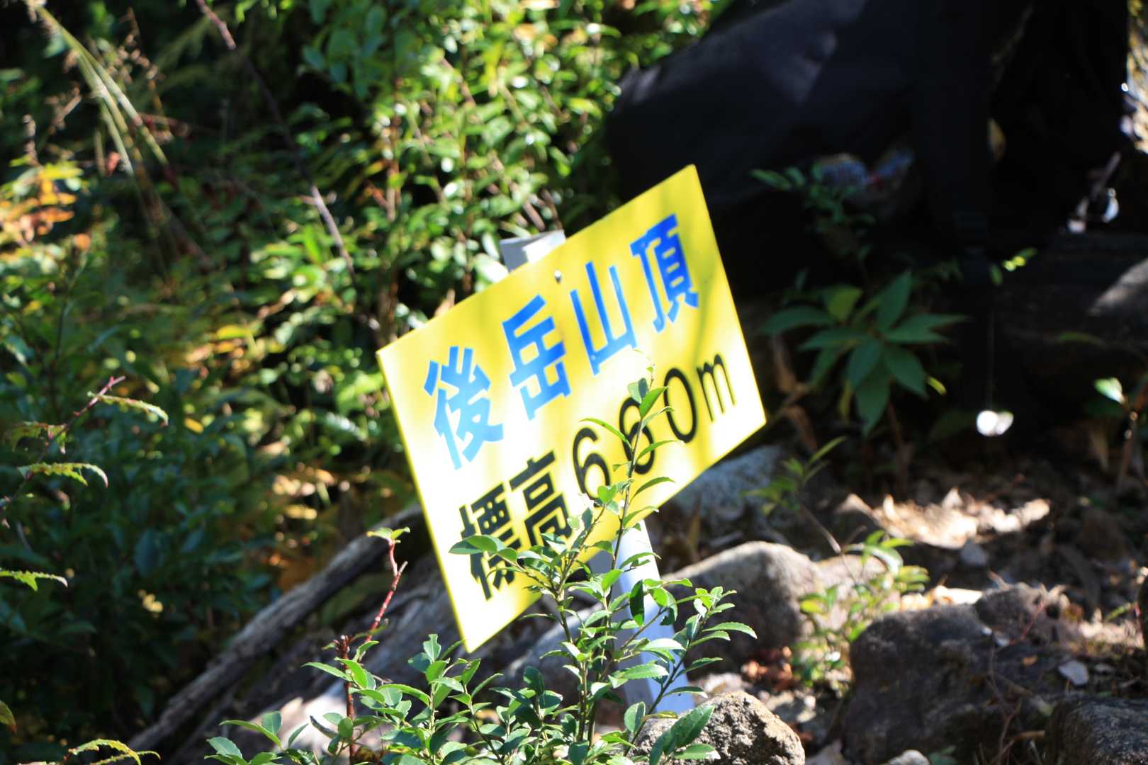 着いたよ