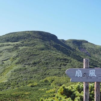 あれはハイマツじゃないか？大丈夫か