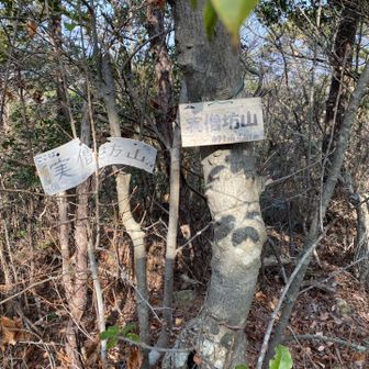 実僧坊山　地形図は登龍山になってる