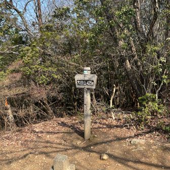 「大谷さ～ん」断念