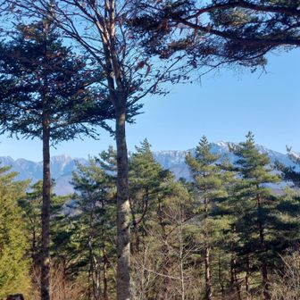 鋸岳、甲斐駒ヶ岳、仙丈ヶ岳がギリギリ見えるポイント発見