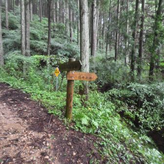 ダイトレで雨が降り出したのでここで下山します