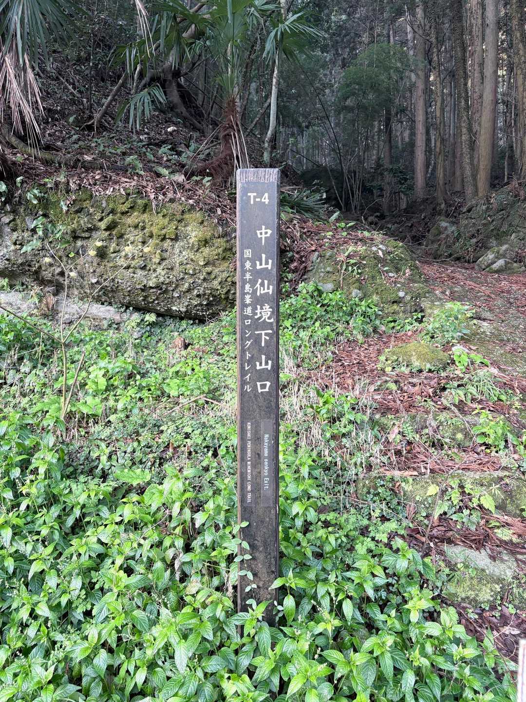 間違えて下山口からスタート😅