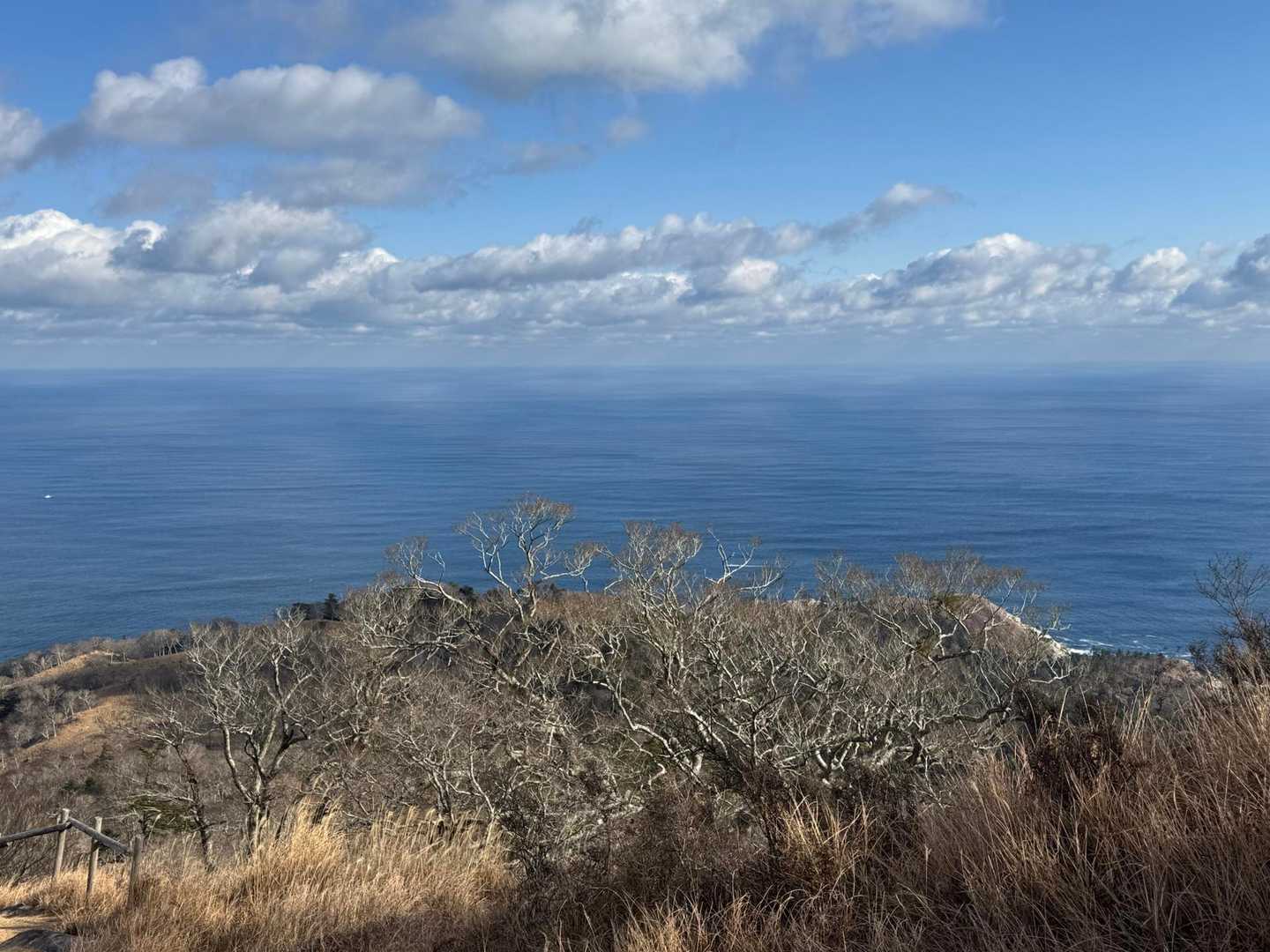 隣町はハワイらしい　…🤔