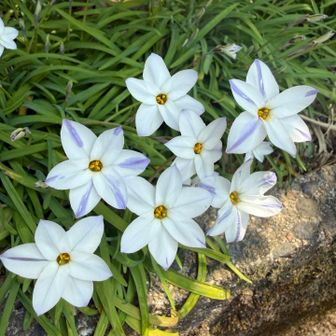 これ、今度池ちゃんにもらう