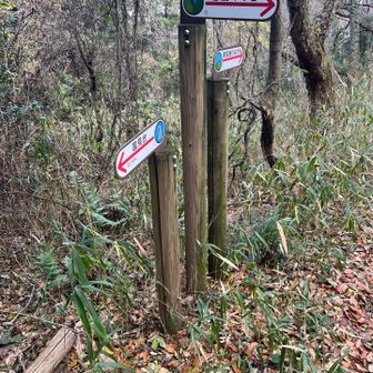 谷筋のみちの標識がありましたが、この先の道は大変分かりにくく危険です