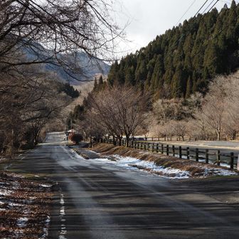 雪が溶けてきました