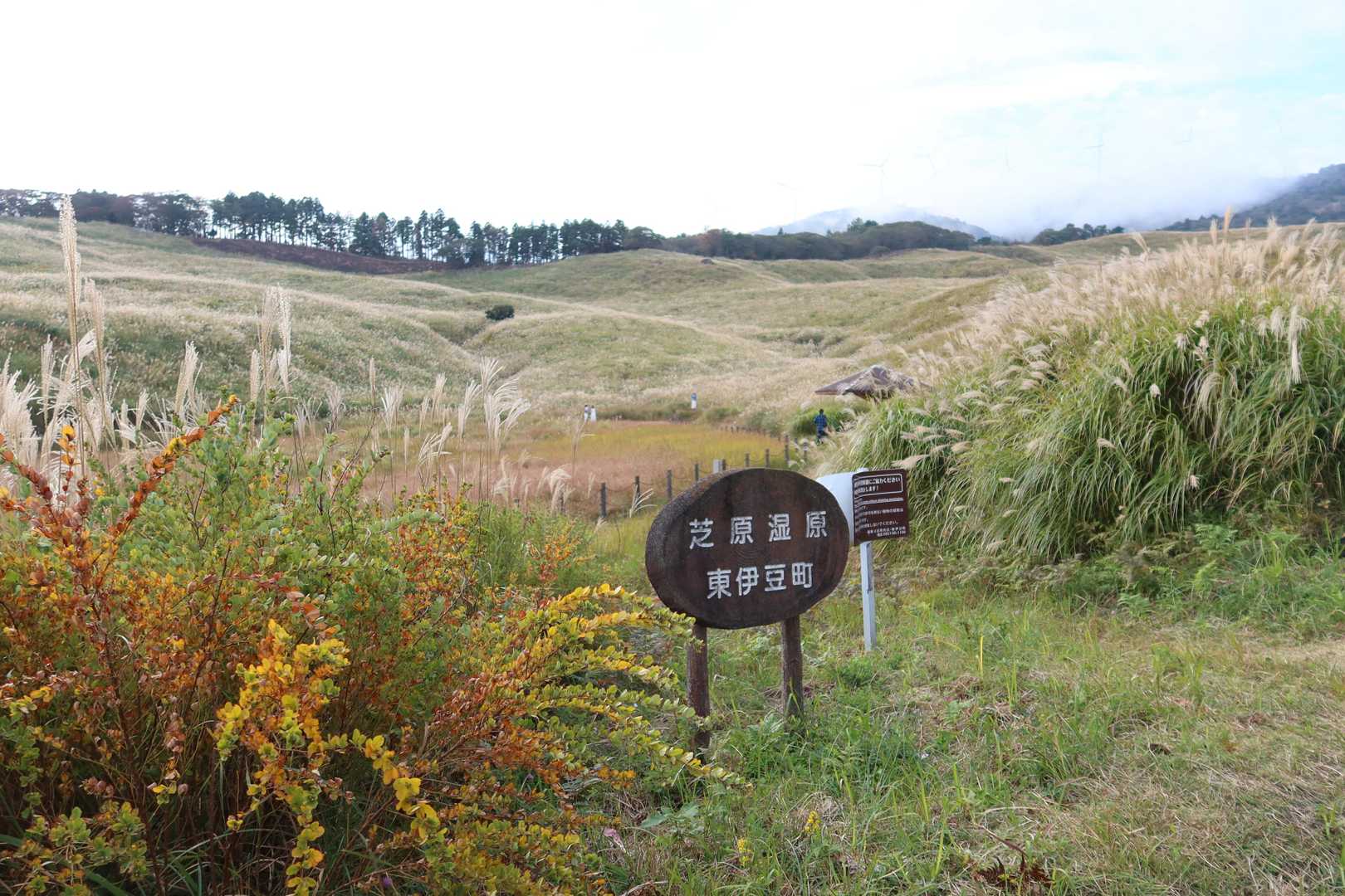 三筋山周回 | 風わたるススキの平原を超えて、水平線に伊豆の島々を望む大展望への写真