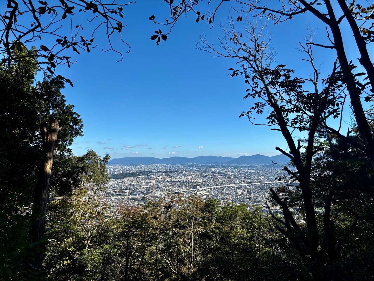 油山往復 | 福岡市街を見渡す定番ルートの写真