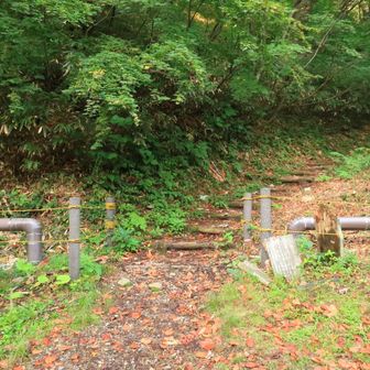 三ツ石山登山口

地質図を眺め、石っこを拾いながら歩く。
