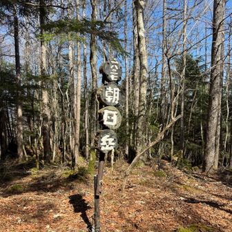 最終防衛ラインは甘めの9時設定だが、
30分のロスで撤退確定した。
厳密に言うと9時でもアウトなんだけどね。
別に今回はブラックゴールでも問題無いが、
ガチのやつなんでなるべく避けたいのよ。
2日前の大雨で渡渉出来るか未知だし。
つーことで、代替案で大無間山への稜線が未踏区間だったのでタゲ変する。