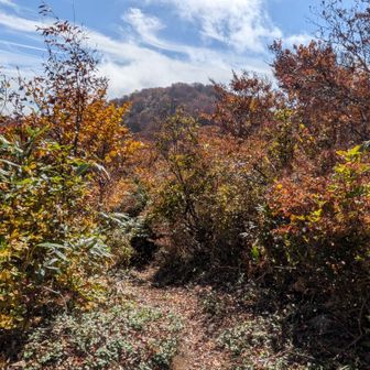 社峰山頂部
