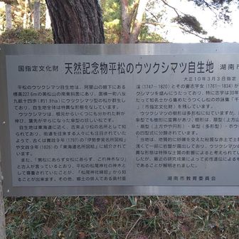 うつくし松自生地の入り口にある案内板