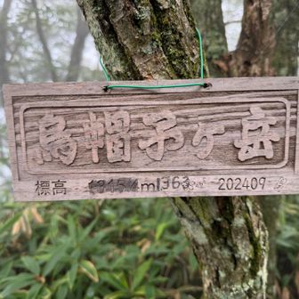 烏帽子ヶ岳到着
期待は出来ませんが一応展望スポットも確認