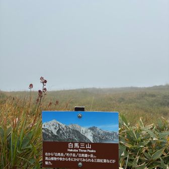 心の👀で白馬三山を見る…