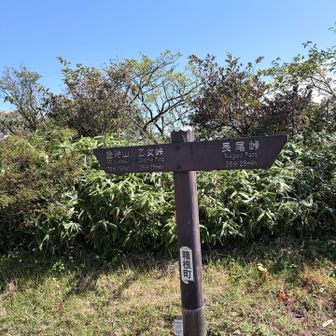 乙女峠を経て、金時山も目指せます☺️