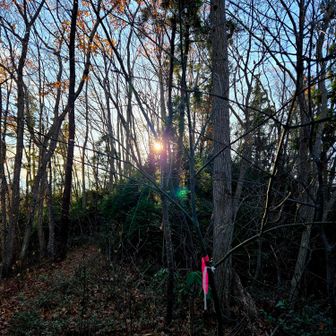 ピンテあって助かりました。