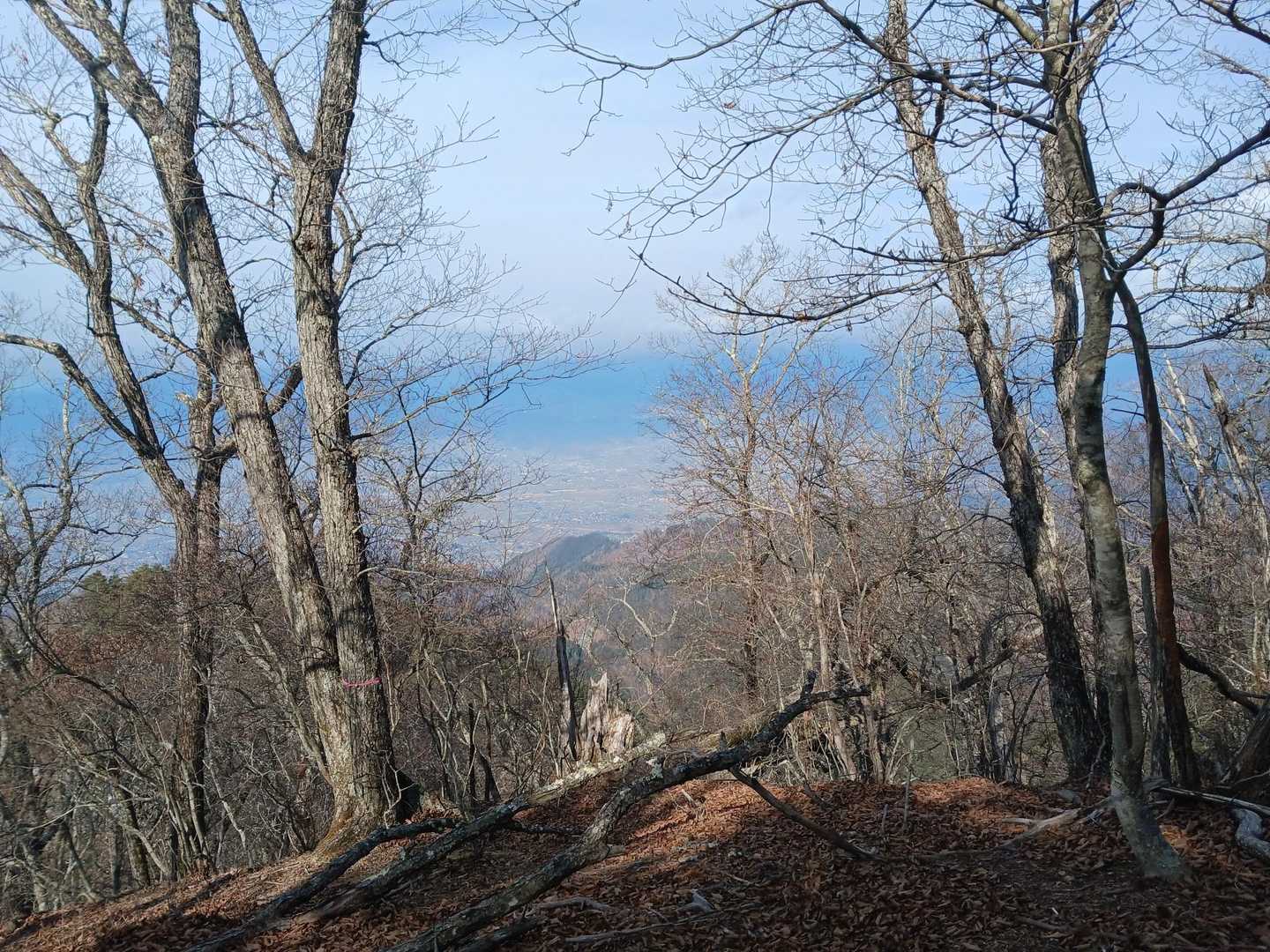 達沢山-ナットウ箱山 往復コースの写真