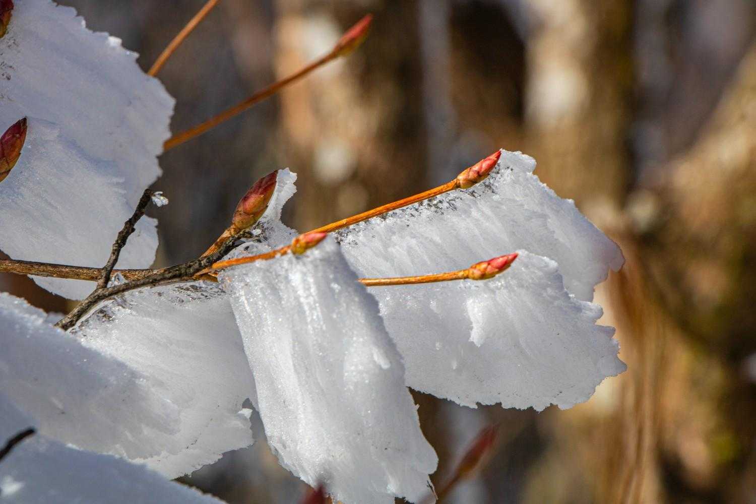 すごいな😳どうなってこうなるんやろ？