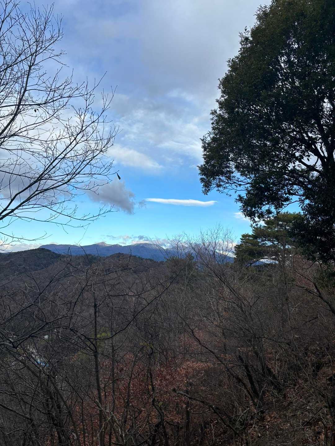 赤城神社-経塚山-小倉山-笹久保山-岩木戸山-吾妻山-吾妻 周回コースの写真