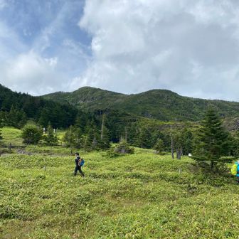 ちょっと霧ヶ峰っぽい。