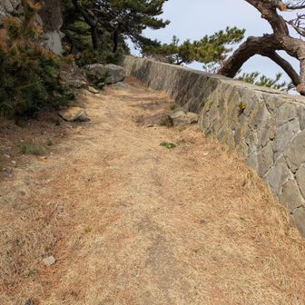 この道の先に今日の目的地のアレがあります。