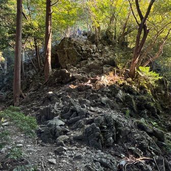 ちょっと岩場が出てきました。