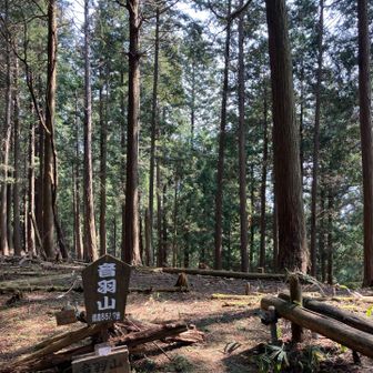 音羽山登頂⛰️