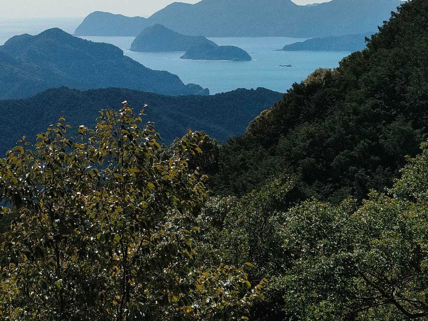 汐見登山口-大田賀ノ頭-生熊山-小浦峠-引本浦浅間山-渡利 周回コースの写真
