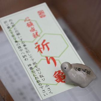 亀ちゃんによろしく🙏