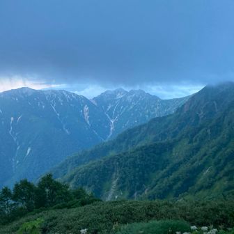 2日目は朝から曇り、午前中から雨とかで、中峰南峰に登り直すのはやめ、朝から下山しました。そのおかげか、雨に遭ったのは柏原新道を半分程度下ったあとでした。