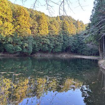 登山口まで下りて来ました。きれいな池があります。