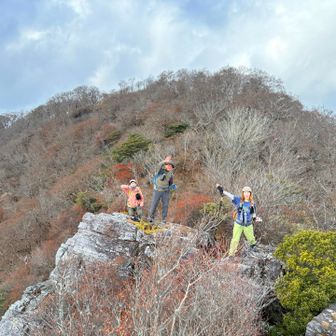この後方👆が山頂