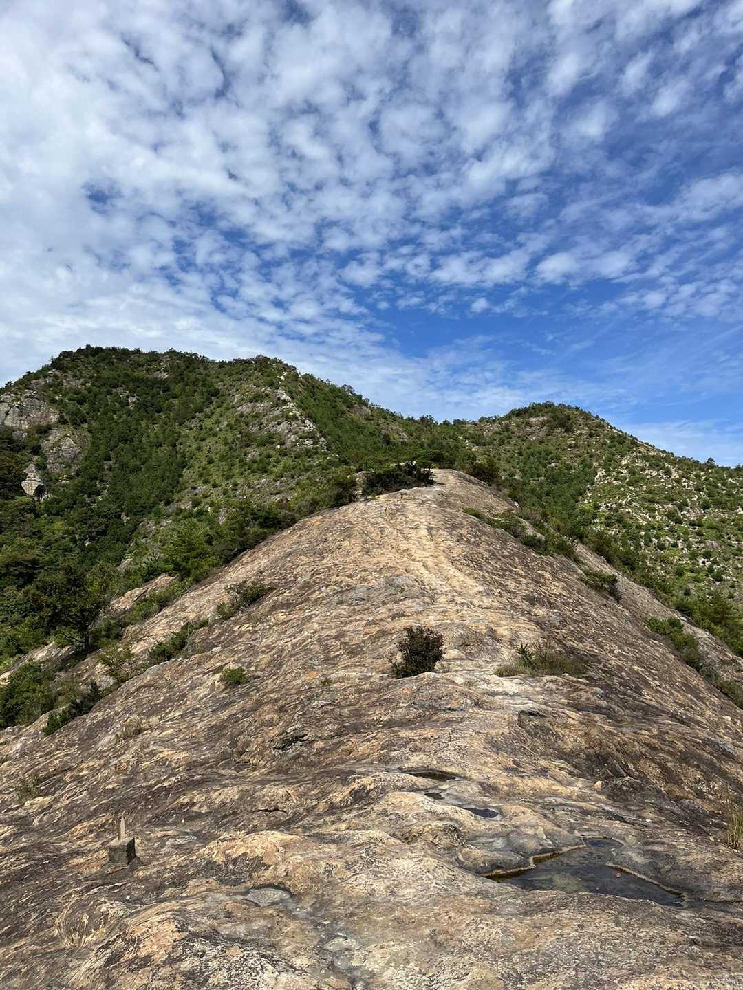 馬の背登山口 往復コースの写真