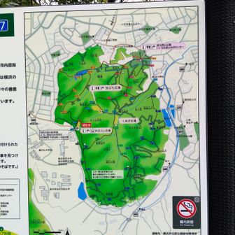 新治市民の森（この中に4ピーク）
この後2つ自然公園を通って中山駅へ行きます