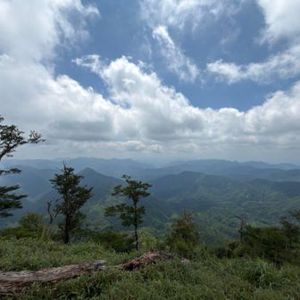 今日は由布岳とくじゅう連山は見えないね