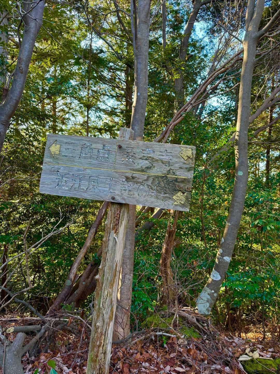 北腰越-繖山 往復コースの写真