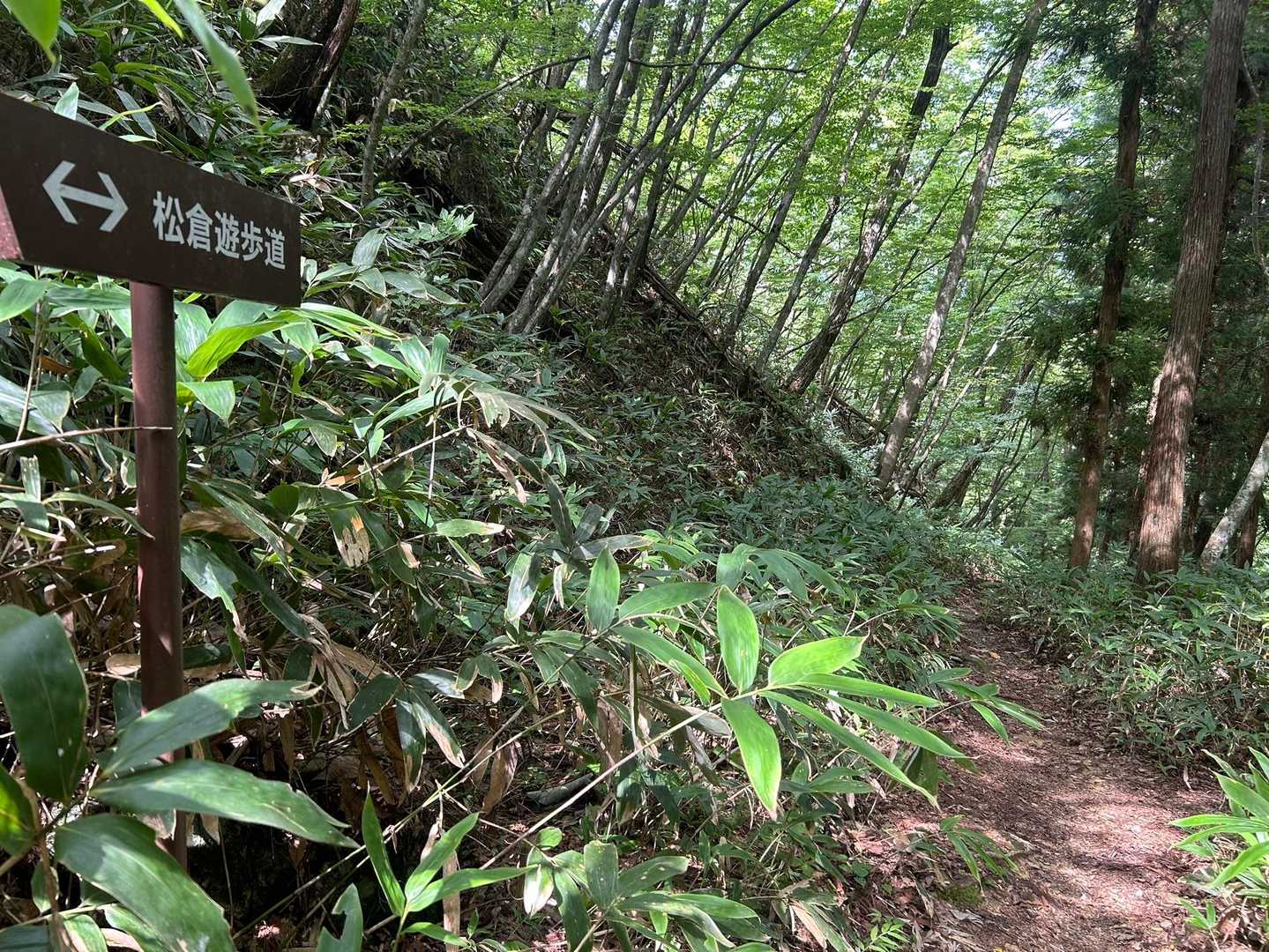 “松倉遊歩道”も整備されてます