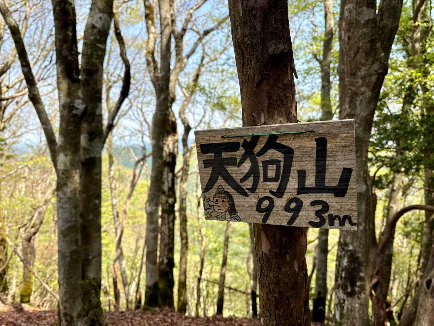 高見山-カヤノ山-天狗山-船峯山-黒石山-高山-差杉峠 周回コースの写真